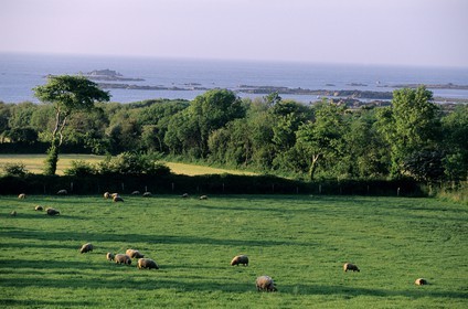 France, Manche (50), Cotentin, région du Cap de la Hague