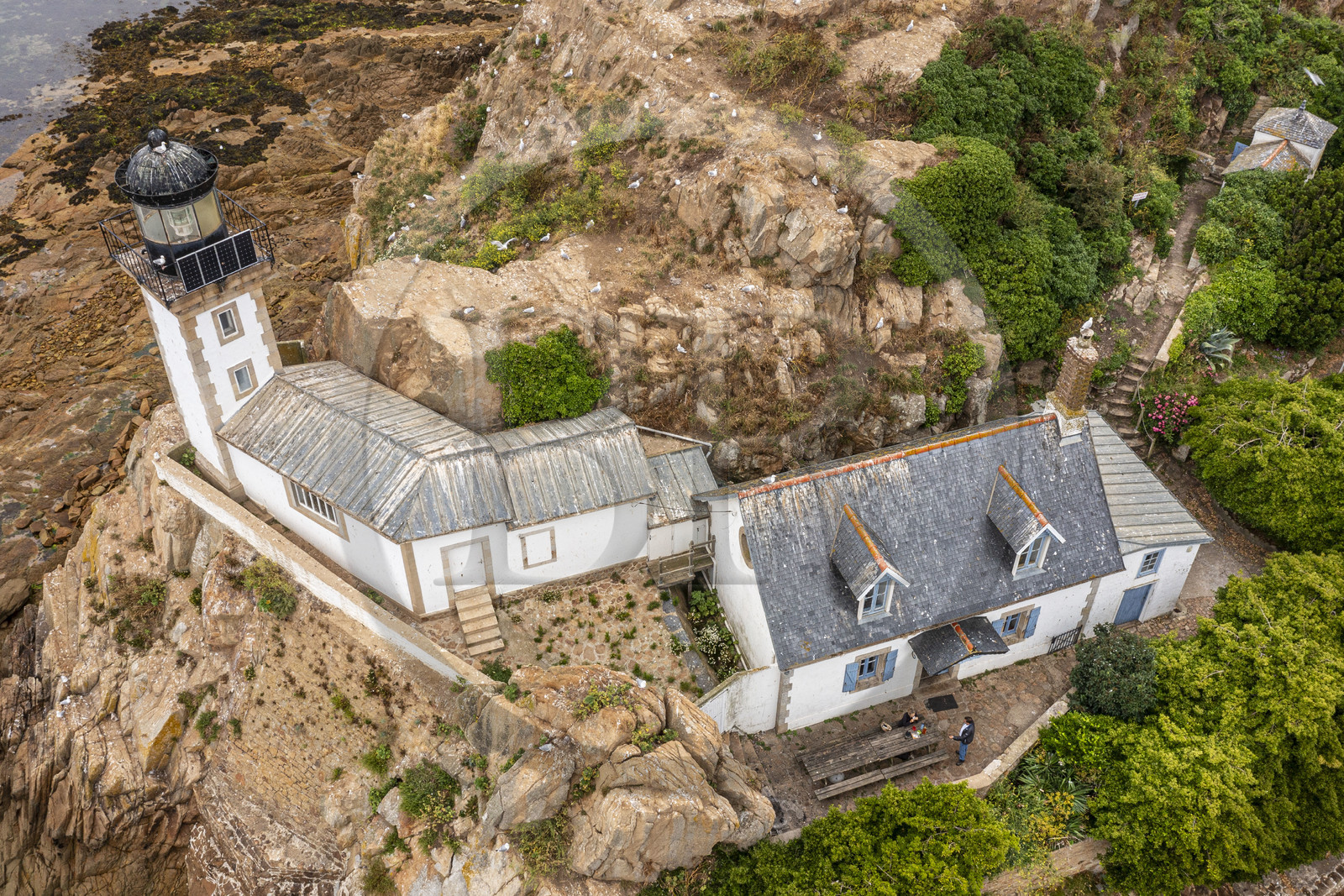 France, Finistère (29), Baie de Morlaix, Carantec, l'Ile Louët et son phare (vue aérienne)