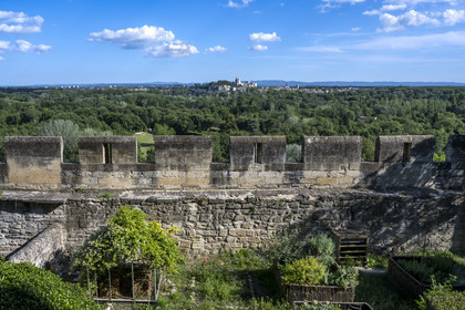 France, Gard, Villeneuve les Avignon, gardens of the former Benedictine abbey of Saint André behind the ramparts of Saint Andre Fort and the Palais des Papes (Palace of the Popes) classified as UNESCO World Heritage in Avignon in the background