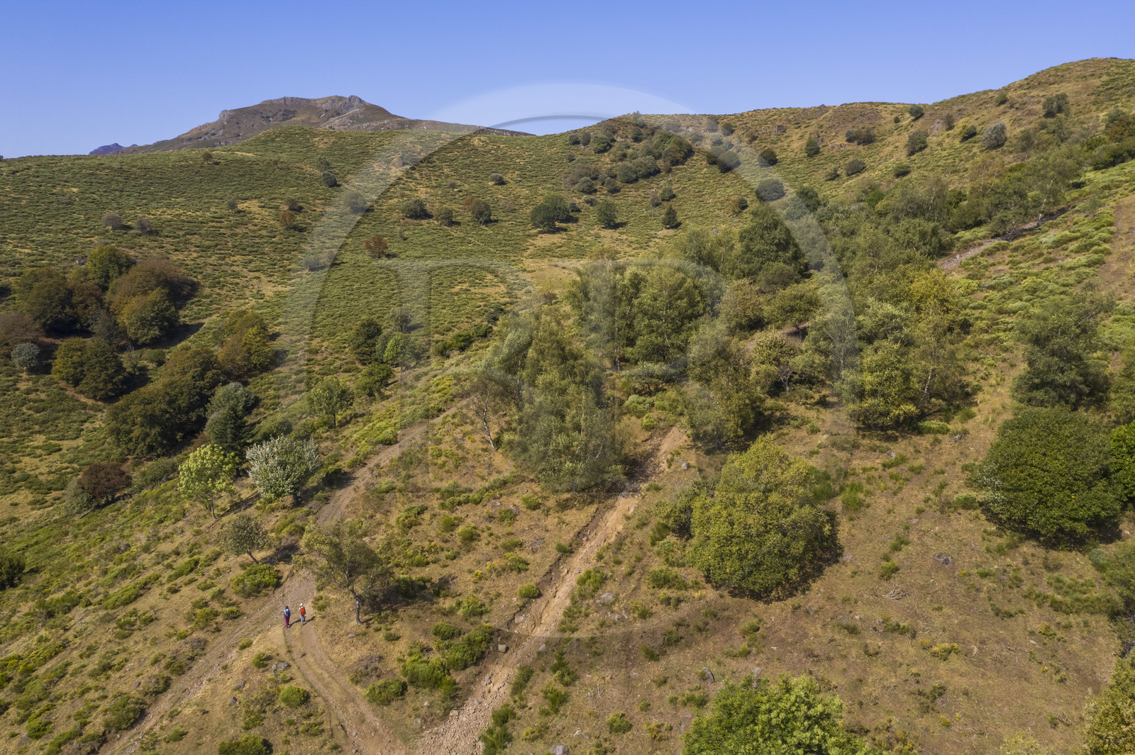 France, Cantal (15), Parc Naturel Régional des Volcans d'Auvergne, Laveissière, sur le chemin de Saint-Jacques de Compostelle par la Via Arverna, randonneurs sur les estives des pentes du Puy de Seycheuse qu'on aperçoit en arrière plan (vue aérienne)