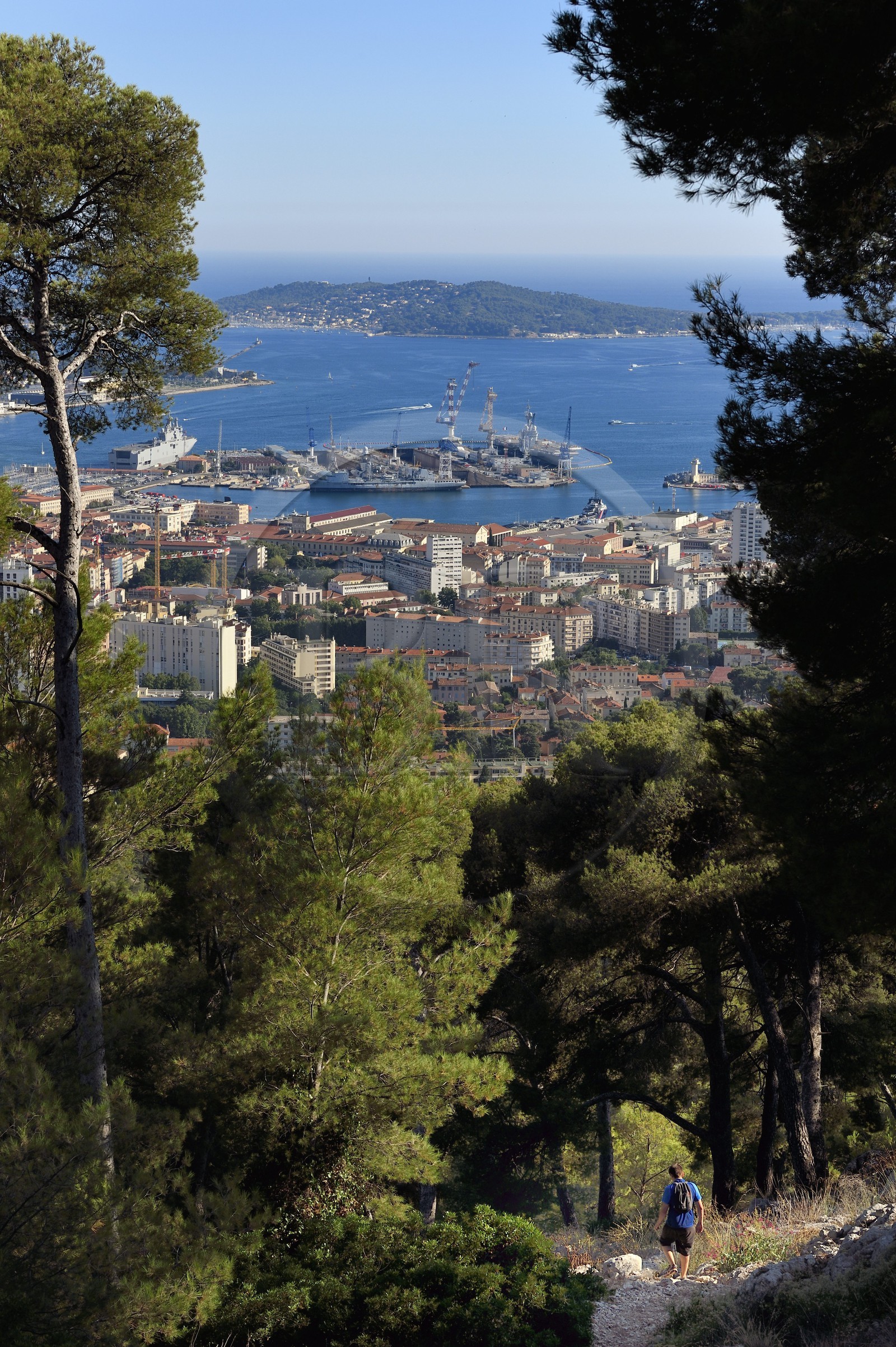 France, Var, Toulon, hiker on Mount Faron, the naval base in the Rade (Roadstead) and the peninsula of Saint Mandrier in the background