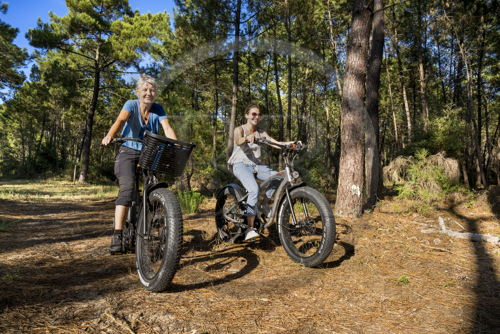 France, Charente-Maritime (17), Royan, La Tremblade, cyclistes utilisant des Fat Bikes sur les chemins sablonneux de la forêt domaniale de la Coubre et des Combots d’Ansoine qui longe l’Atlantique au nord de La Palmyre