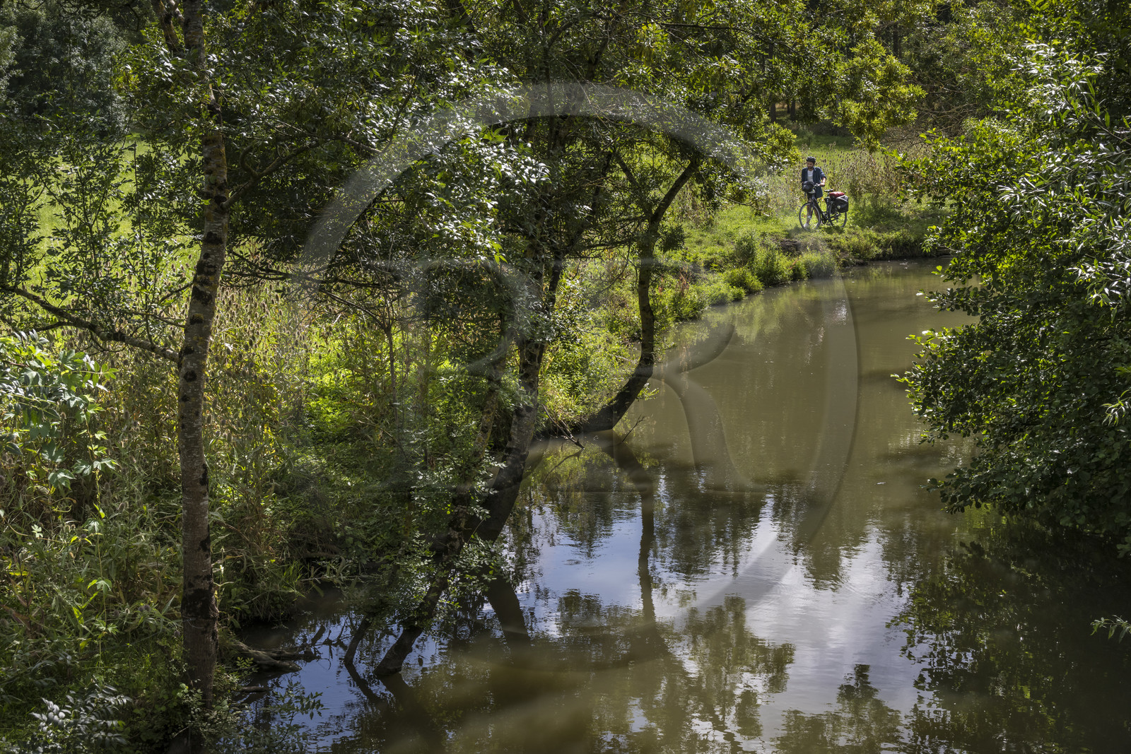 France, Deux-Sèvres (79), le Marais Poitevin, la Venise Verte, Le Vanneau-Irleau, randonnée à bicyclette le long des canaux