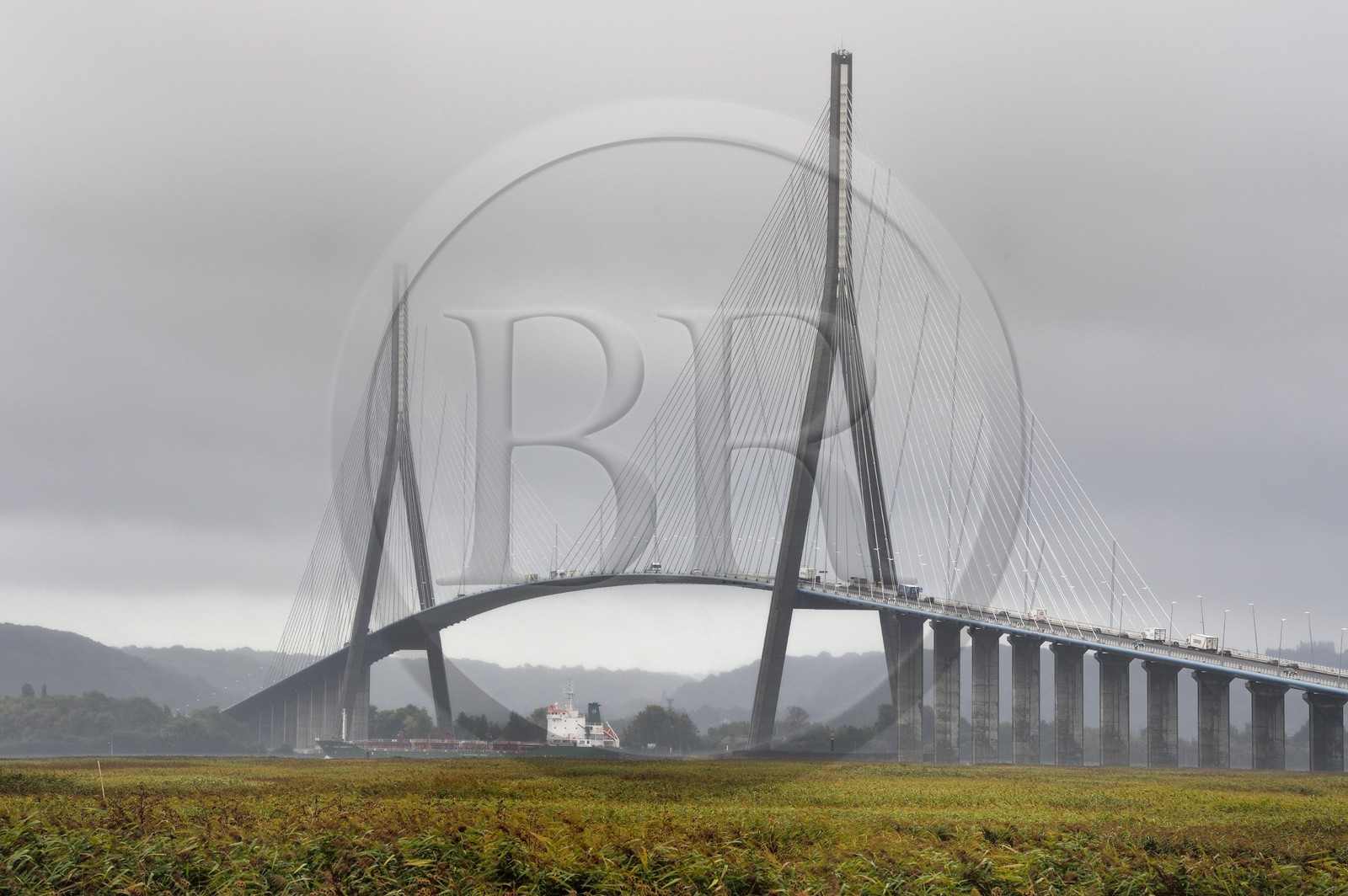 France, Seine Maritime, Natural Reserve of the Seine estuary and cargo passing under the bridge of Normandy in the clouds, the reed bed in the foreground