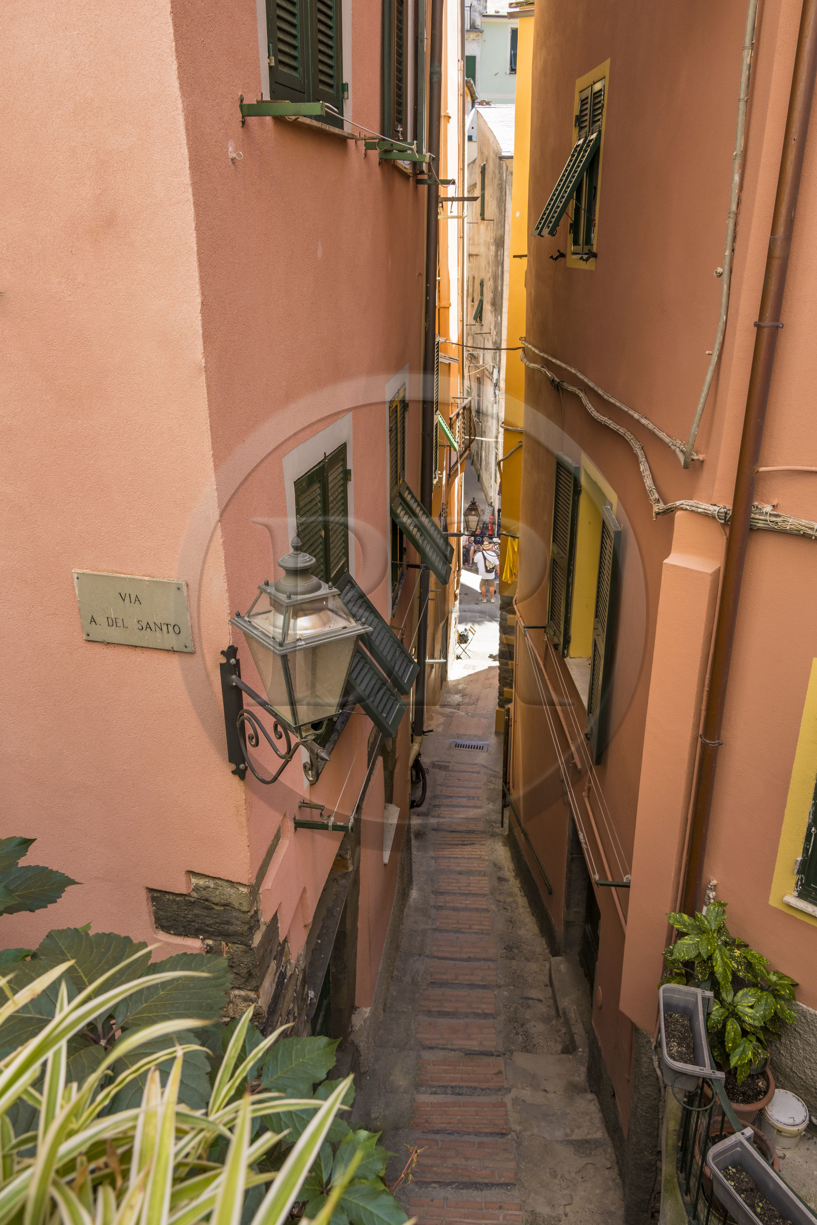 Italy, Liguria, Cinque Terre National Park listed as World Heritage by UNESCO, village of Vernazza,