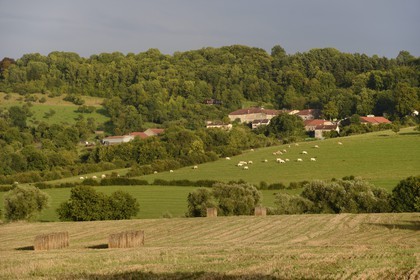 France, Meurthe-et-Moselle, Saintois region, colline de Sion-Vaudemont (hill of Sion) and the village of Saxon-Sion