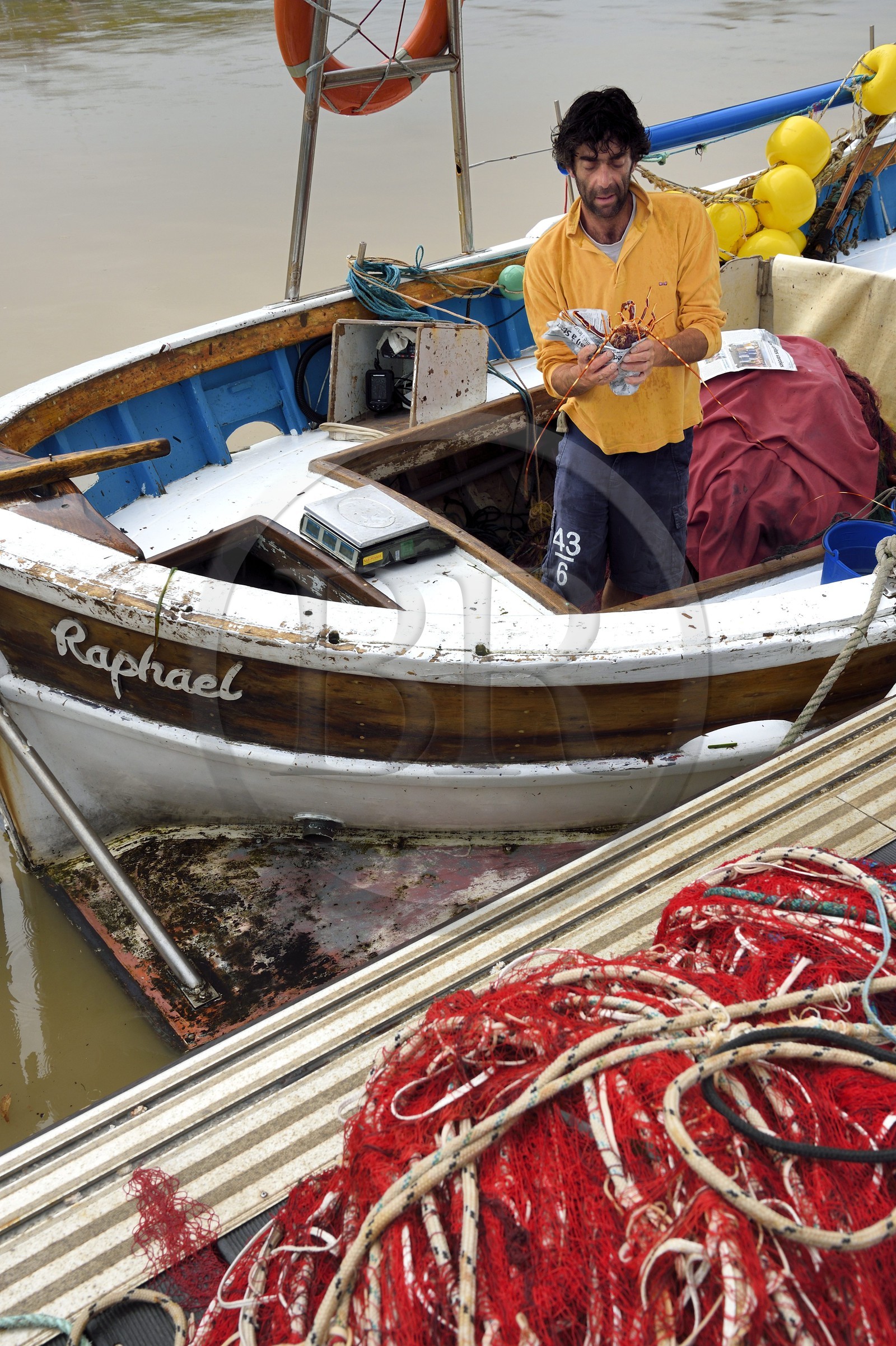 France, Var (83), Iles d'Hyères, parc national de Port Cros, Ile de Porquerolles, le quai des pêcheurs dans le port du village, le pêcheur Pierre Pironneau