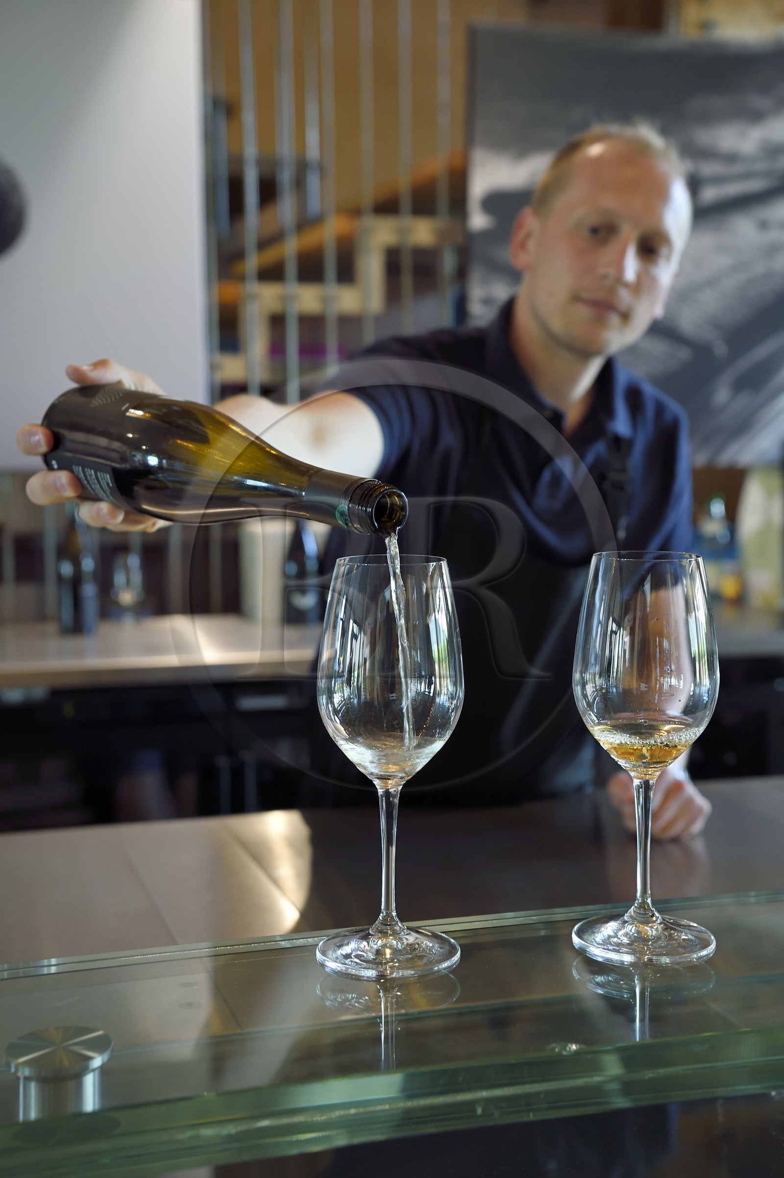 France, Bas-Rhin (67), Route des vins d'Alsace, Scherwiller, domaine viticole Achillée en biodynamie, Thomas Schrutt est responsable du caveau