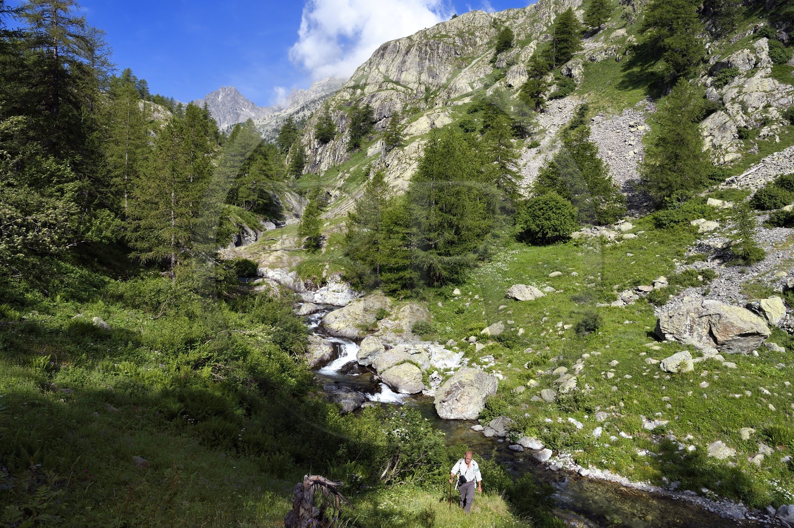 France, Alpes-Maritimes (06), parc national du Mercantour, vallée de la rivière Valmasque et sommets de la haute Valmasque, Alain Lanteri-Minet, guide et ancien garde-moniteur du parc