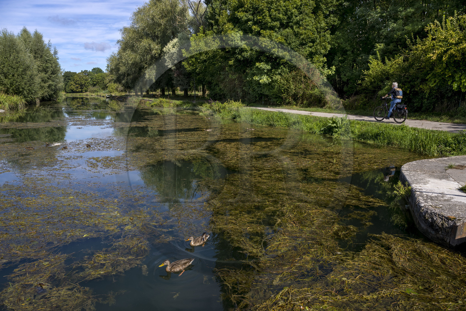 France, Côte-d'Or (21), Plombières-lès-Dijon, l’écluse 52 S des carrières blanches du canal de Bourgogne