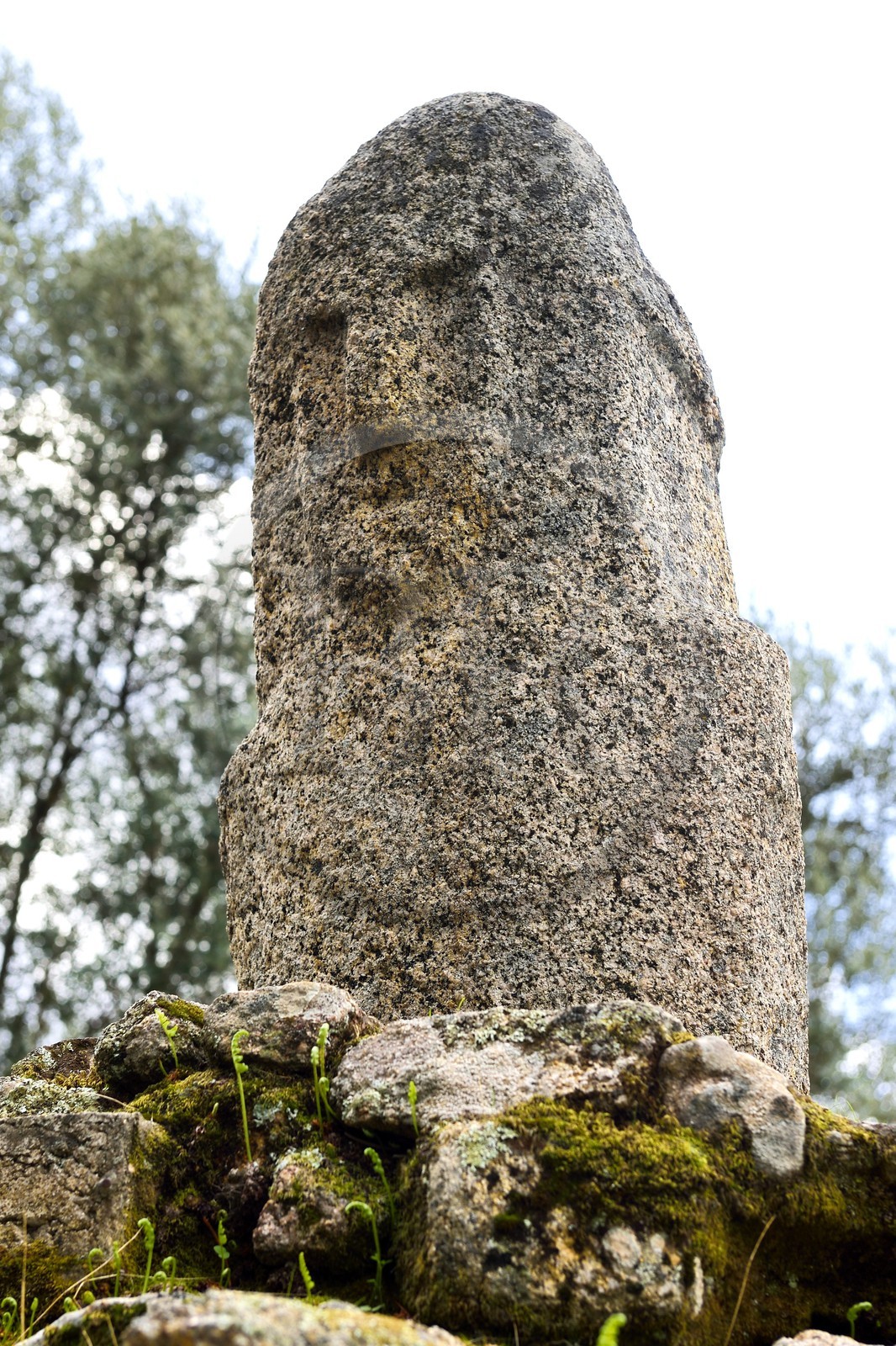 France, Corse du Sud, prehistoric site of Filitosa, the menhirs of the 4th millennium BC have been reworked as statues-menhirs around -1200 BC