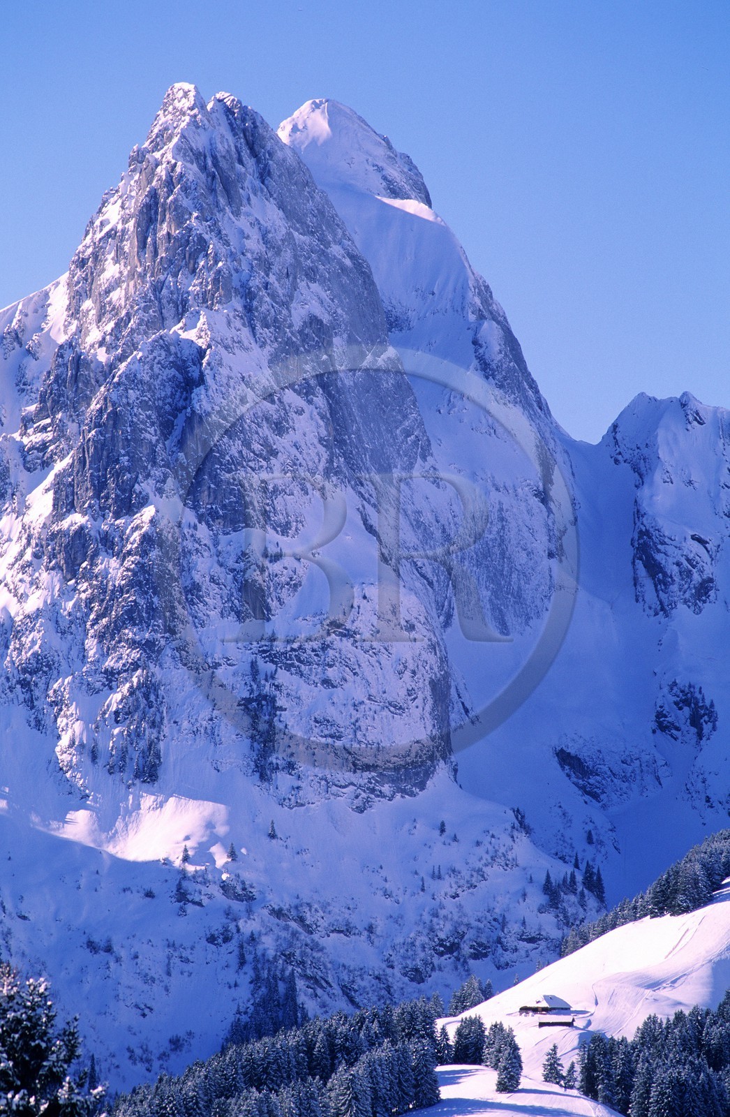Switzerland, region of Bern (Bernese Oberland), Saanenland, mountain overlooking Gstaad