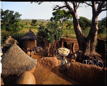 Burkina Faso, Poni province, Lobi land, Loropéni, farm yard, corn and sorghum crops in the background