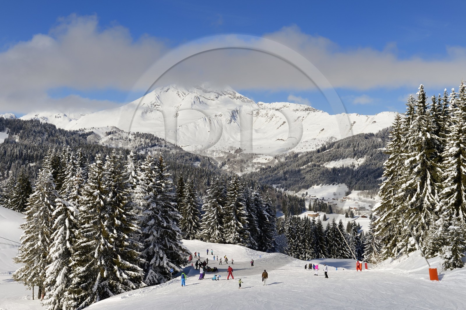 France, Haute Savoie, Morzine, the valley of Aulps, massif of Chablais, ski slopes of the Portes du Soleil, view of Roc d'Enfer (2243m) from Pléney (1554m)