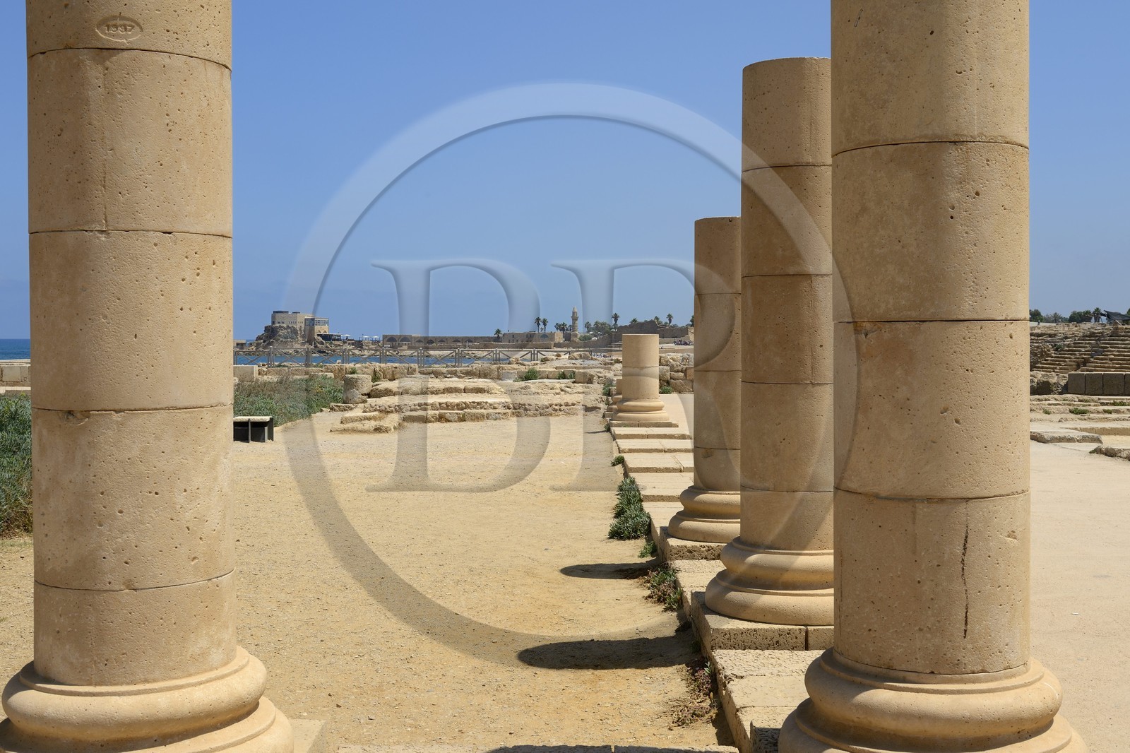 Israël, district d'Haifa, Césarée (Caesarea Maritima), ruines de Césarée, colonnes de l'époque romaine et byzantine de la cour péristyle du  Palais d'Hérode 1er Le Grand