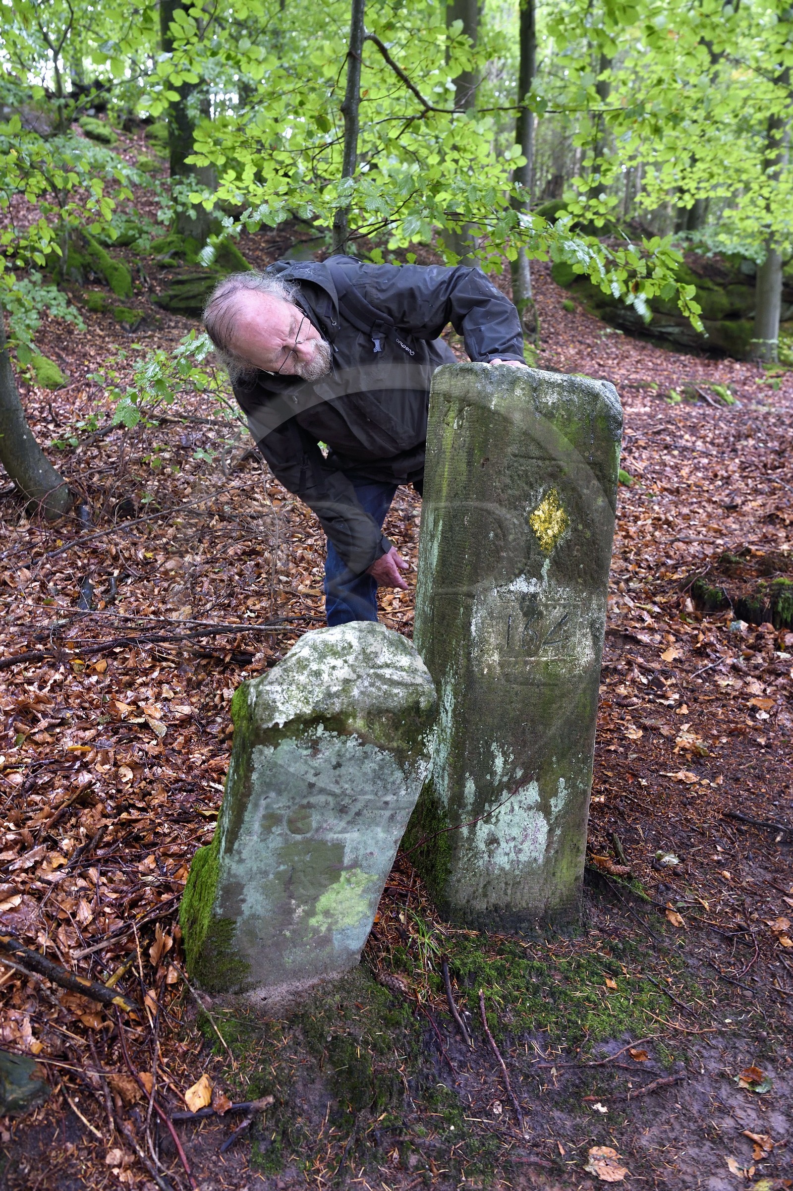 France, Bas-Rhin (67), Parc Naturel régional des Vosges du Nord, La Petite Pierre, borne de parcelles datant de 1674, le guide-conférencier et conteur Georges Gerlinger