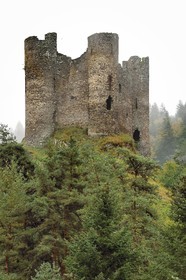 France, Cantal (15), Gorges de la Truyère, Alleuze, ruines féodales perchées du château fort d'Alleuze du XIIIe siècle reconstruit en 1405