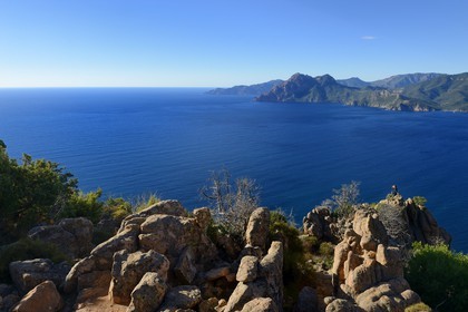 France, Corse du Sud, Golfe de Porto, listed as World Heritage by UNESCO, the Creeks of Piana (Calanches de Piana) with pink granite rocks, the Capo Senino and the Scandola peninsula Nature Reserve in the background
