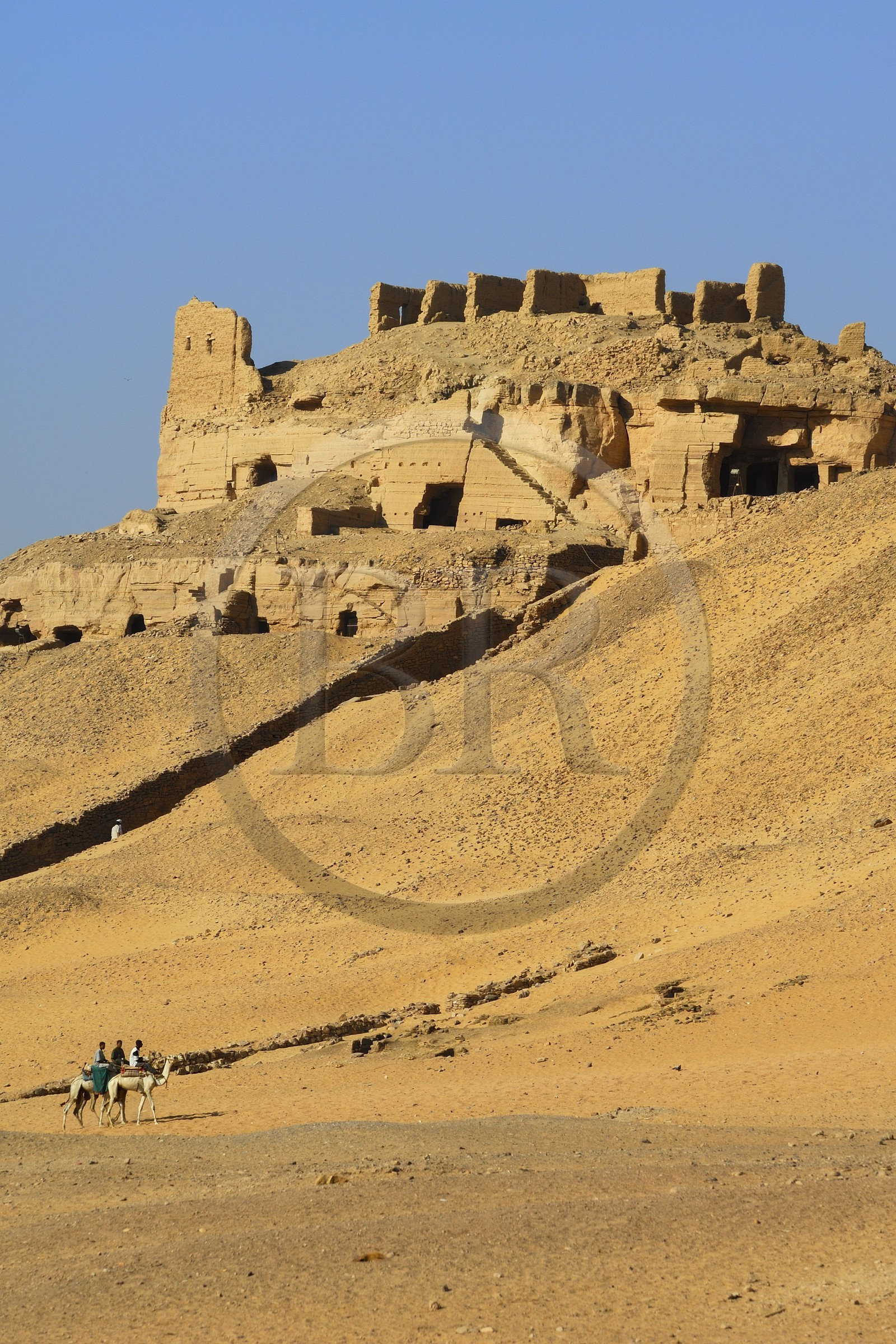 Egypte, Haute Egypte, Nubie, vallée du Nil, Assouan, les tombes des Nobles sur la rive ouest et cavaliers chevauchant leurs dromadaires