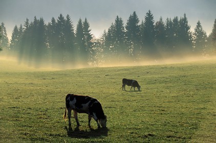France, Doubs (25), région de Morteau à l'automne