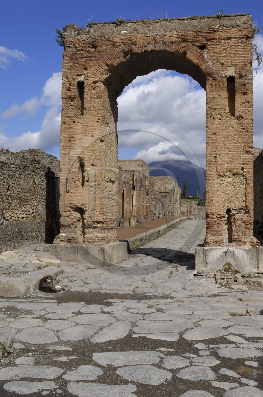 Italie, Campanie, Pompei, site archéologique classé Patrimoine Mondial de l'UNESCO, le Forum, arcs Commémoratifs