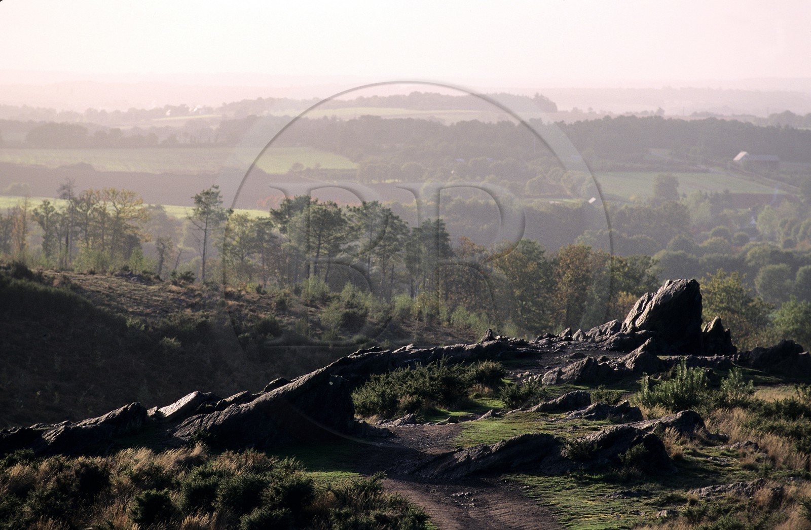France, Ille et Vilaine, Broceliande forest, the Val sans Retour
