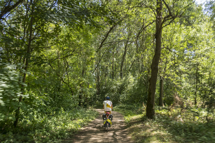 France, Maine-et-Loire (49), vallée de la Loire classée au Patrimoine Mondial par l'UNESCO, Dampierre à l'Est de Saumur, randonnée à bicyclette le long des berges de la Loire sur la piste cyclable La Loire à Vélo, vélo avec une remorque transportant le matériel de camping