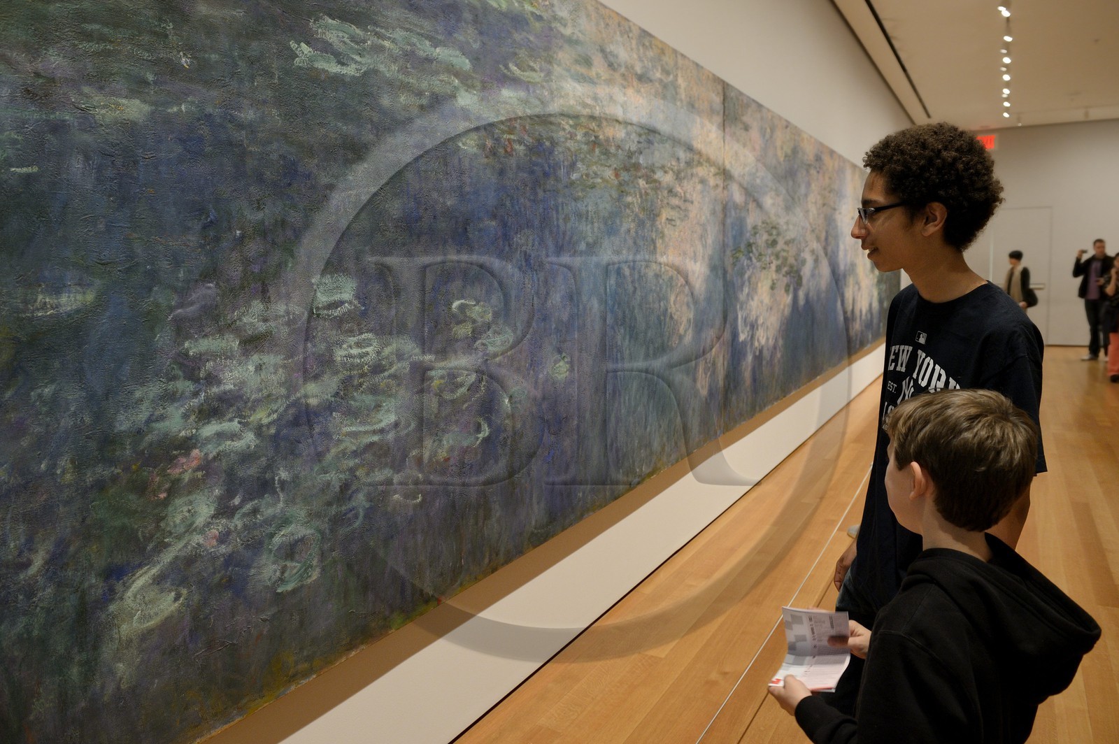 Etats-Unis, New York, Manhattan, Midtown, Museum of Modern Art (MoMa), Claude Monet Les Nymphéas