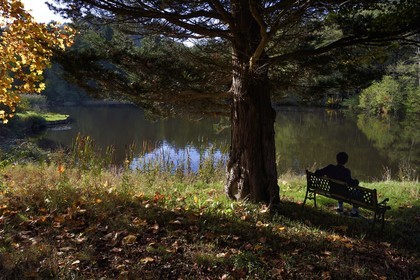 France, Bas-Rhin (67), Parc Naturel régional des Vosges du Nord, La Petite Pierre, étang d'Imstahl
