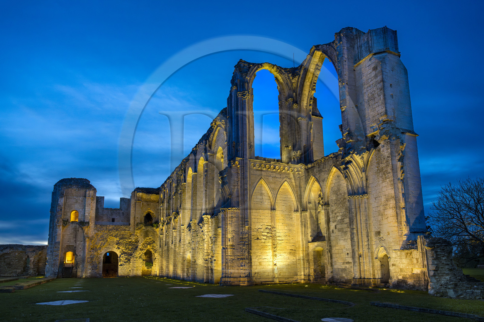 France, Vendée (85), Parc Interrégional du Marais Poitevin labellisé Grand Site de France, Maillezais, vestiges de l'abbaye Saint-Pierre de Maillezais