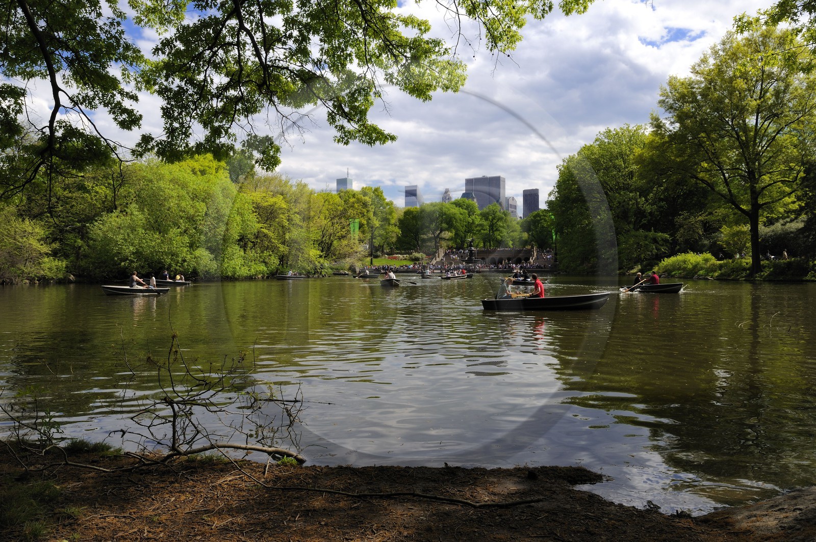 Etats-Unis, New York, Manhattan, Central Park, promenade en barque sur le lac et les gratte-ciels de Midtown