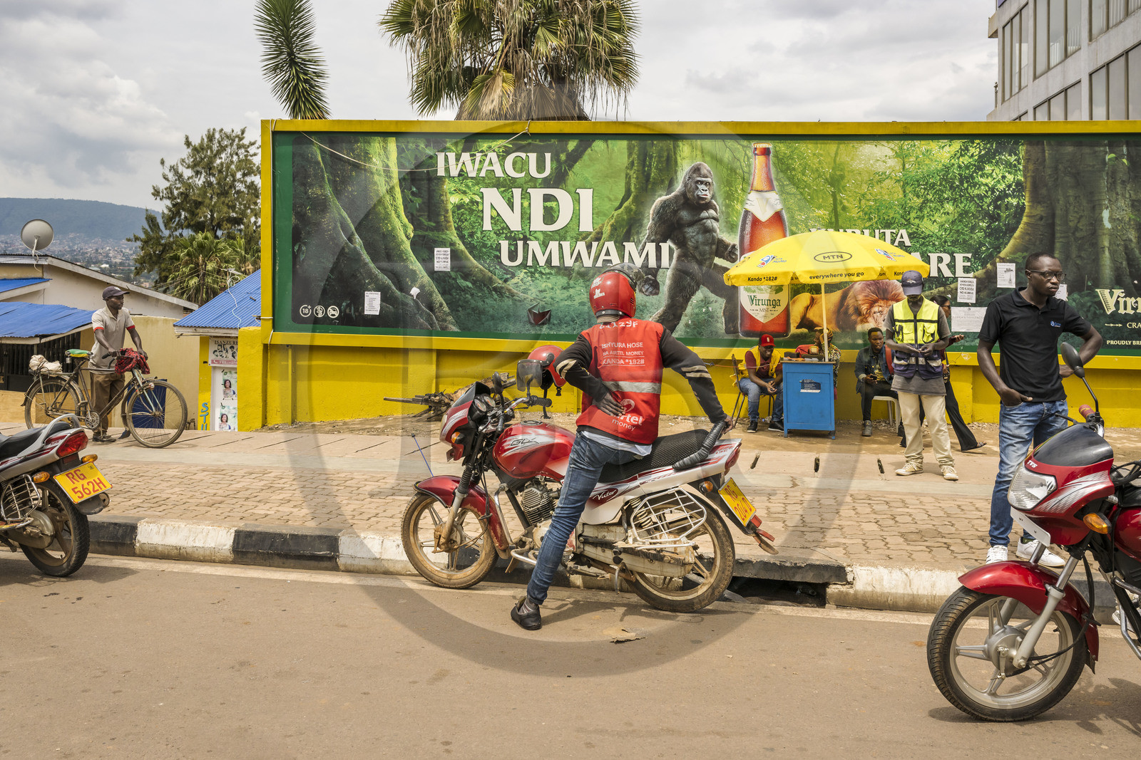 Rwanda, Kigali, publicité pour la bière Virunga fabriquée au Rwanda mettant en scène un gorille