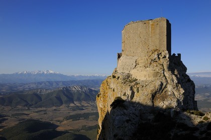 France, Aude (11), Pays Cathare, le château de Quéribus, devant la plaine de Maury et le Mont Canigou (2784 m) dominant la chaine des Pyrénées