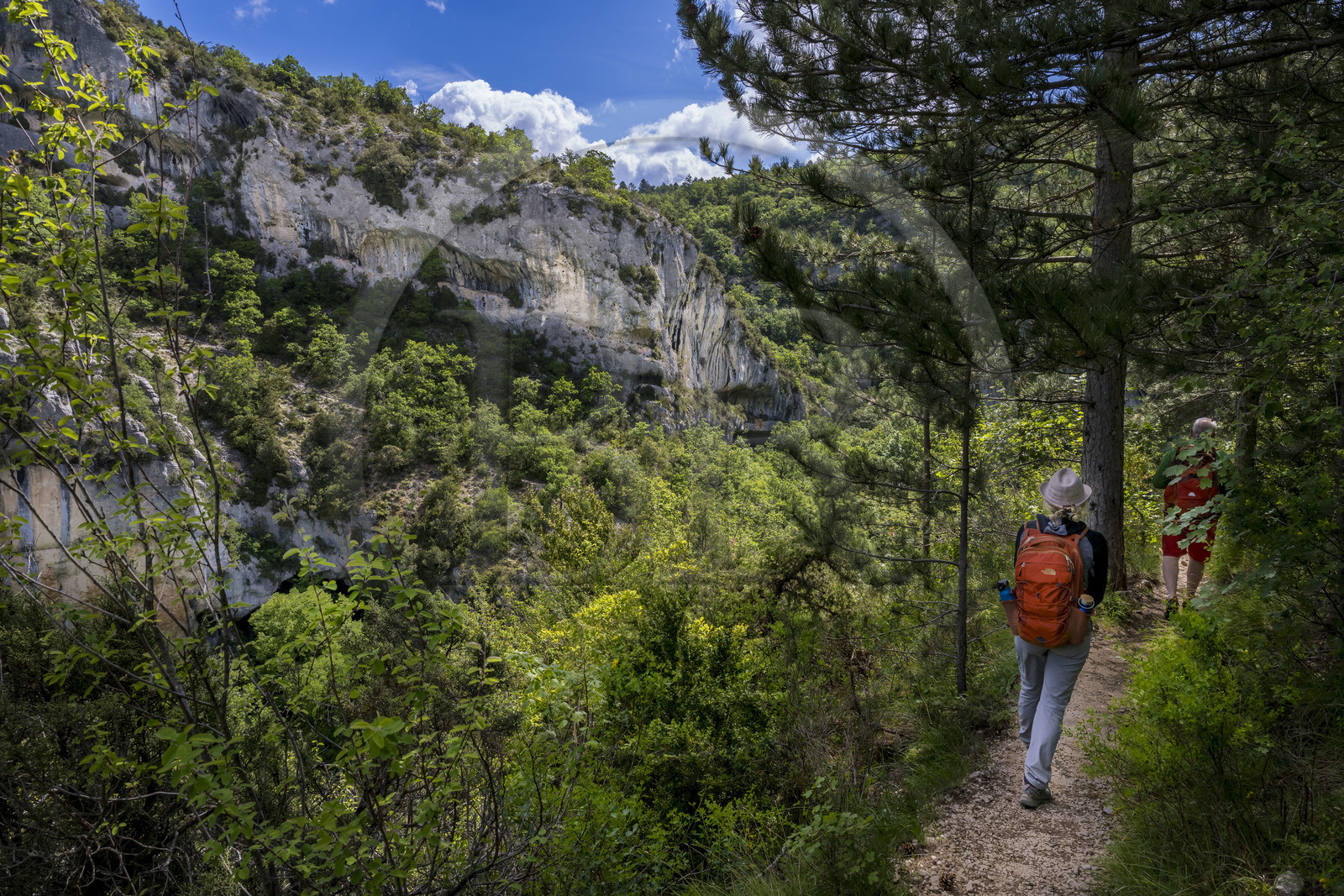 France, Vaucluse (84), Parc naturel régional du Mont Ventoux, Monieux, Gorges de La Nesque, randonneurs progressant sur un sentier sur les hauteurs face au barres rocheuses