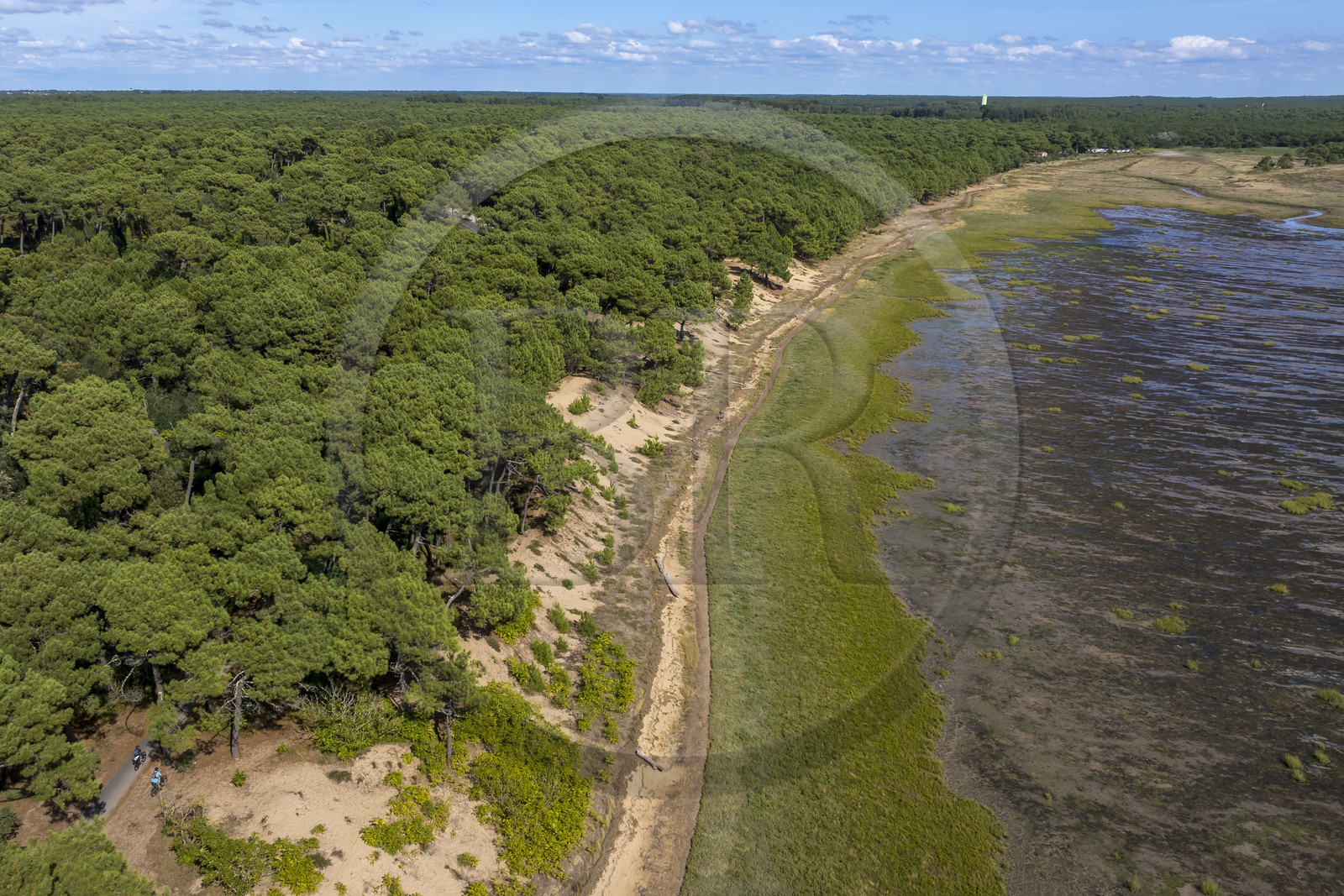 France, Charente-Maritime (17), Royan, Les Mathes, la baie de Bonne Anse à marée basse (vue aérienne)