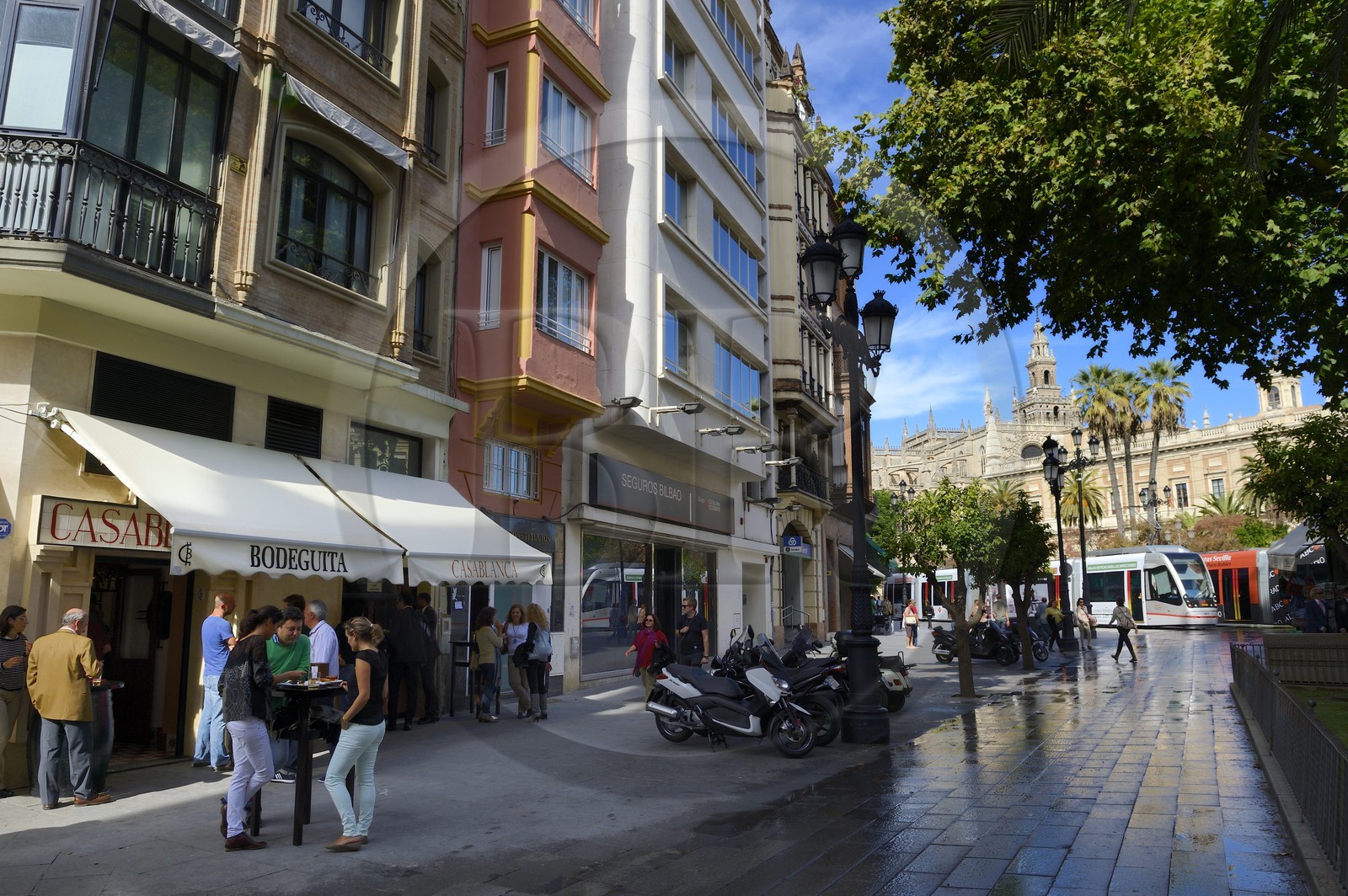 Espagne, Andalousie, Séville, Bodega, tramway sur l'avenida de la Constitucion et la Giralda en arrière plan
