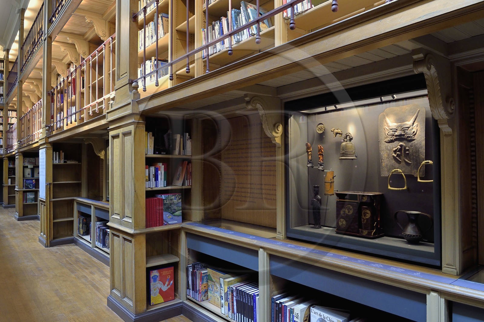 France, Var (83), Toulon, Musée d'Art de Toulon (MAT), le cabinet de curiosité au sein de la bibliothèque