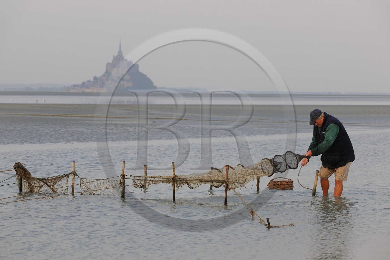 France, Manche (50), Baie du Mont-Saint-Michel, le pêcheur de grève Guy Jugan relevant ses filets de crevettes grises à l'aube