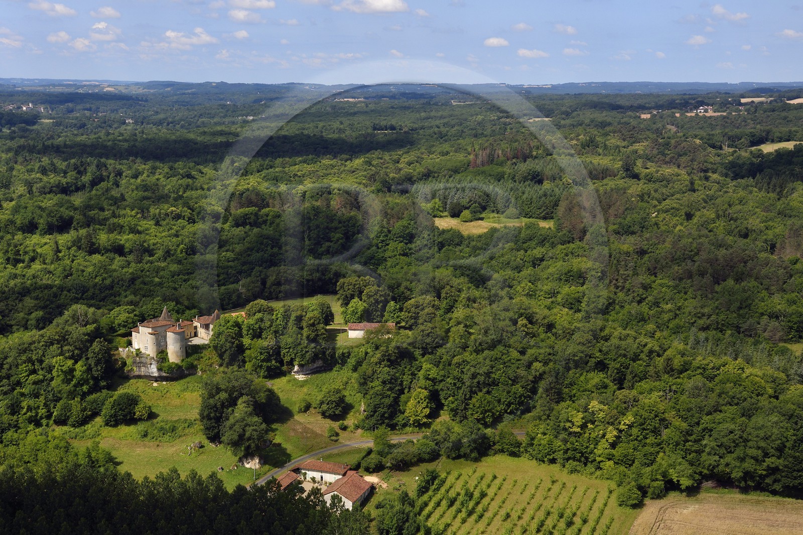 France, Dordogne, Perigord Vert, Valeuil, Ramefort castle (aerial view)