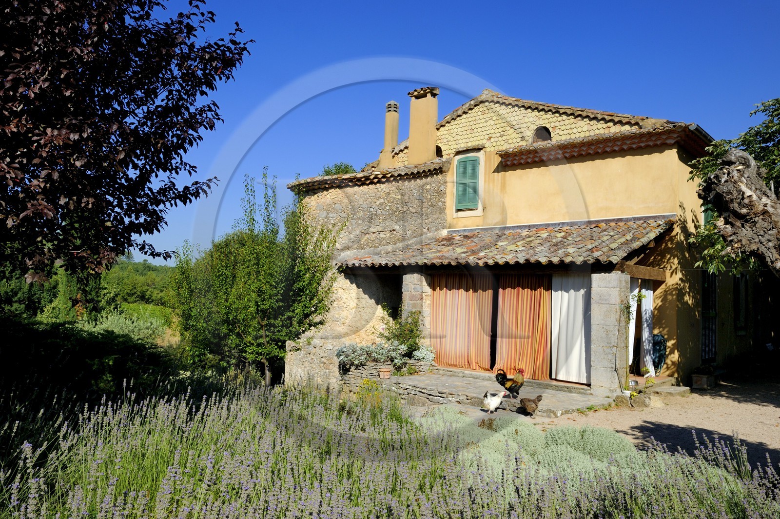 France, Var (83), Provence Verte, Bras, vers Saint-Maximin-la-Sainte-Baume, la maison d'hôtes Le Peyrourier, une campagne en Provence