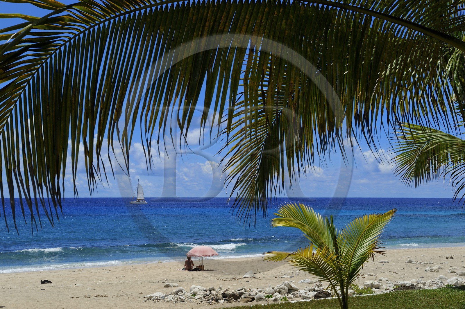 France, île de la Réunion, la Côte Ouest, commune de Saint Gilles les Bains, plage de Boucan Canot