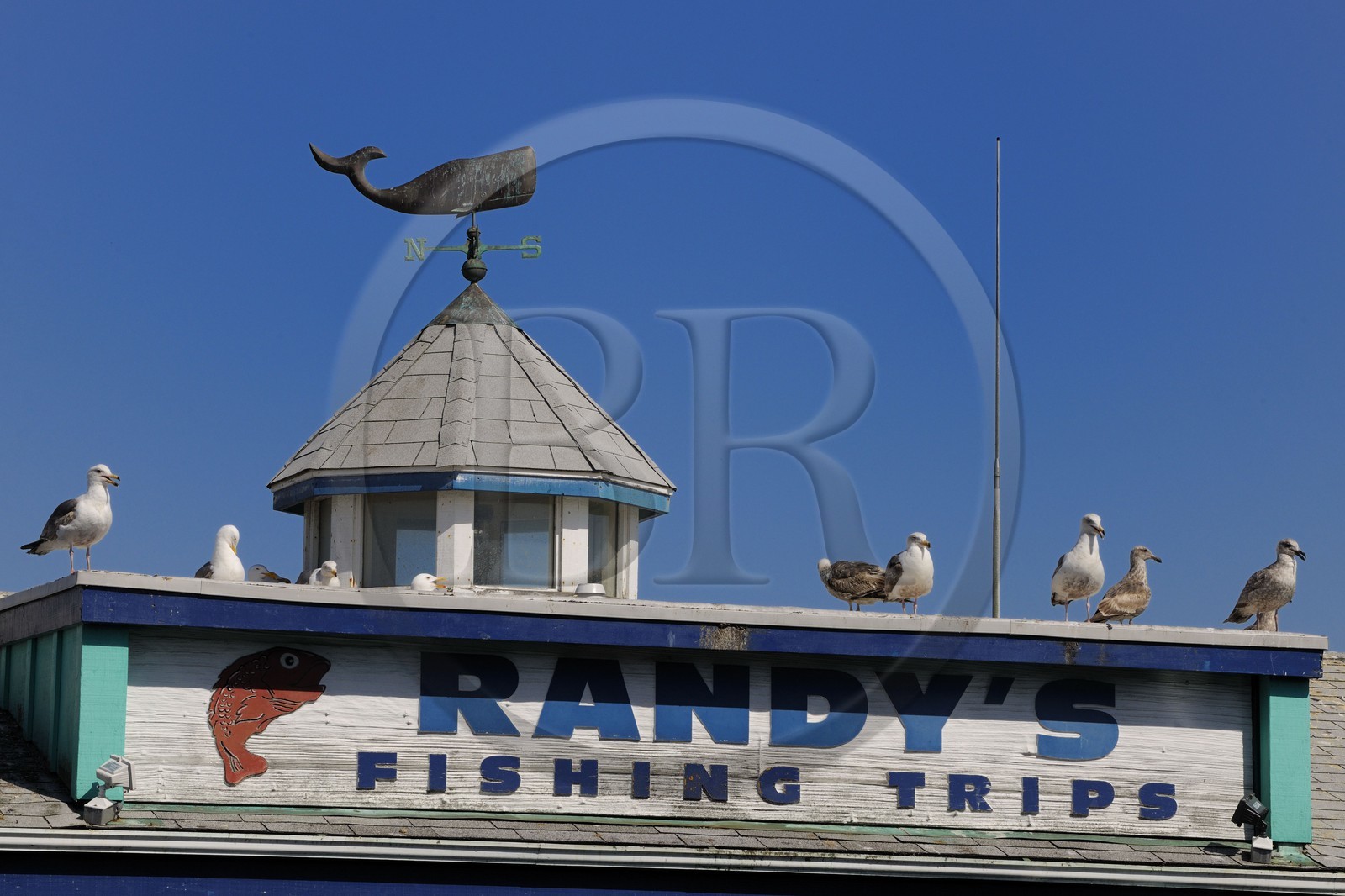 Etats-Unis, Californie, Monterey, Fisherman's Warf (Quai des pêcheurs), détail toit et girouette