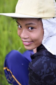 Philippines, Ifugao province, Banaue rice terraces around the village of Cambulo, listed as World Heritage by UNESCO, Shimah 16 working in the fields
