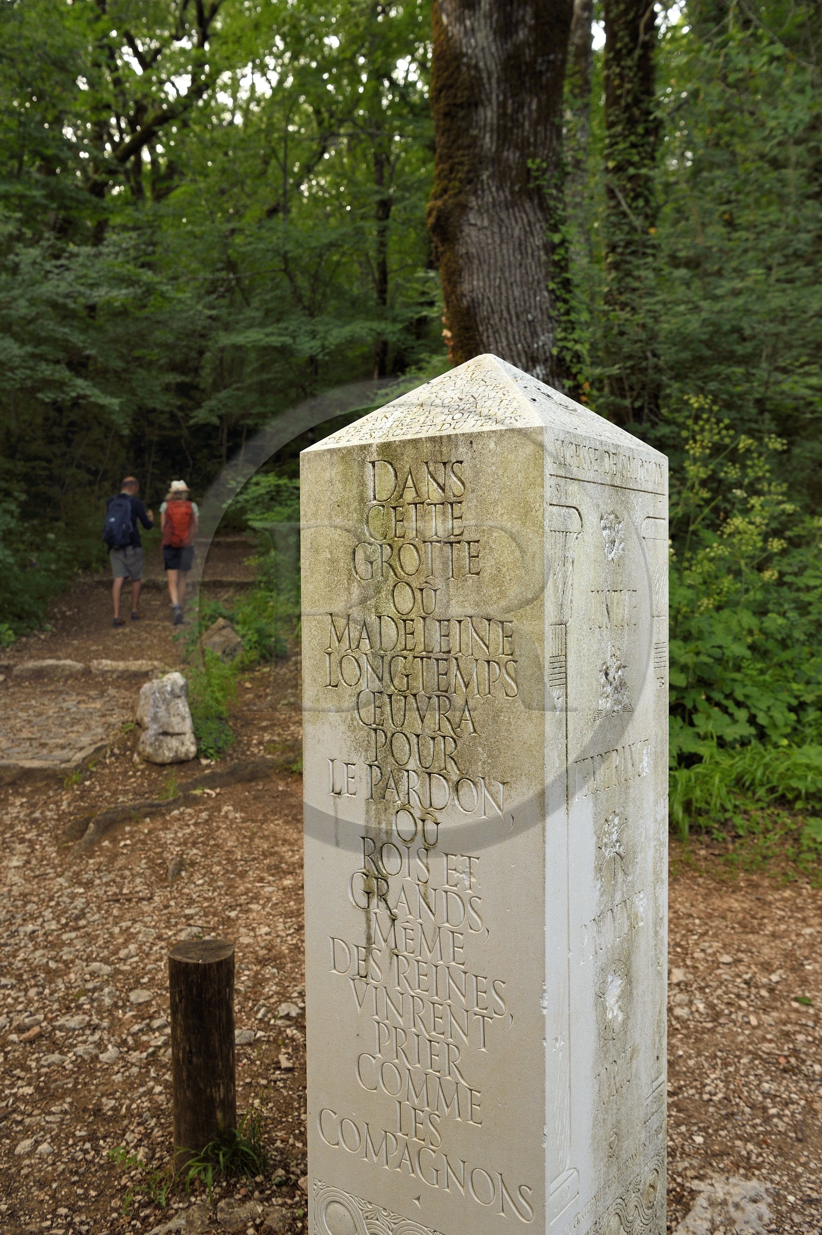 France, Var (83), Plan-d'Aups-Sainte-Baume, parc naturel régional de la Sainte-Baume, foret du Massif de la Sainte-Baume, selon la tradition légendaire des Compagnons du Devoir et du Tour de France, leur fondateur maître Jacques à son retour de la construction du temple de Salomon en 950 av. J.-C. se retire à la Sainte-Baume où il aurait été assassiné et enterré, le passage sur le massif est donc incontournable dans leur périple initiatique