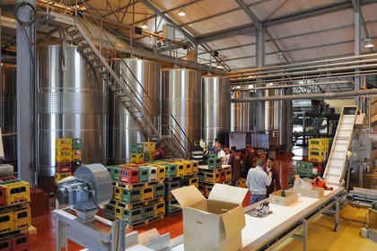 Maroc, région de Meknès, Boufakrane, Les Celliers de Meknès, les cuves