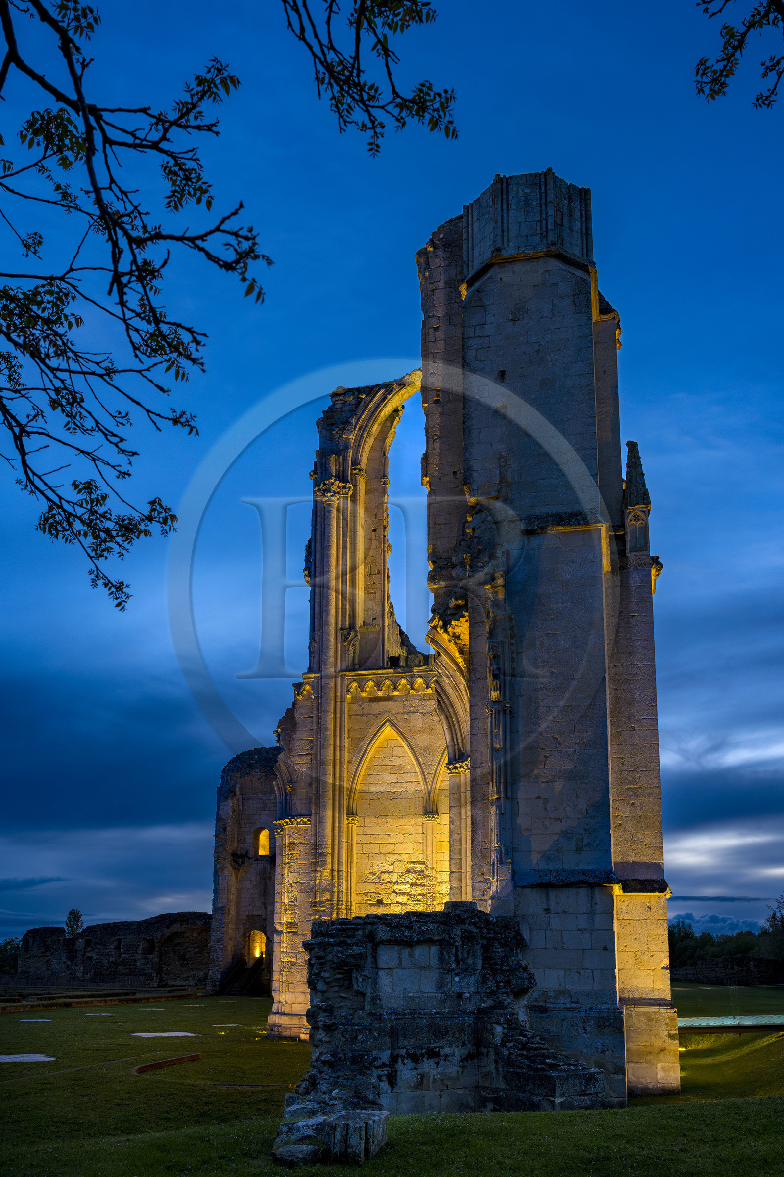 France, Vendée (85), Parc Interrégional du Marais Poitevin labellisé Grand Site de France, Maillezais, vestiges de l'abbaye Saint-Pierre de Maillezais