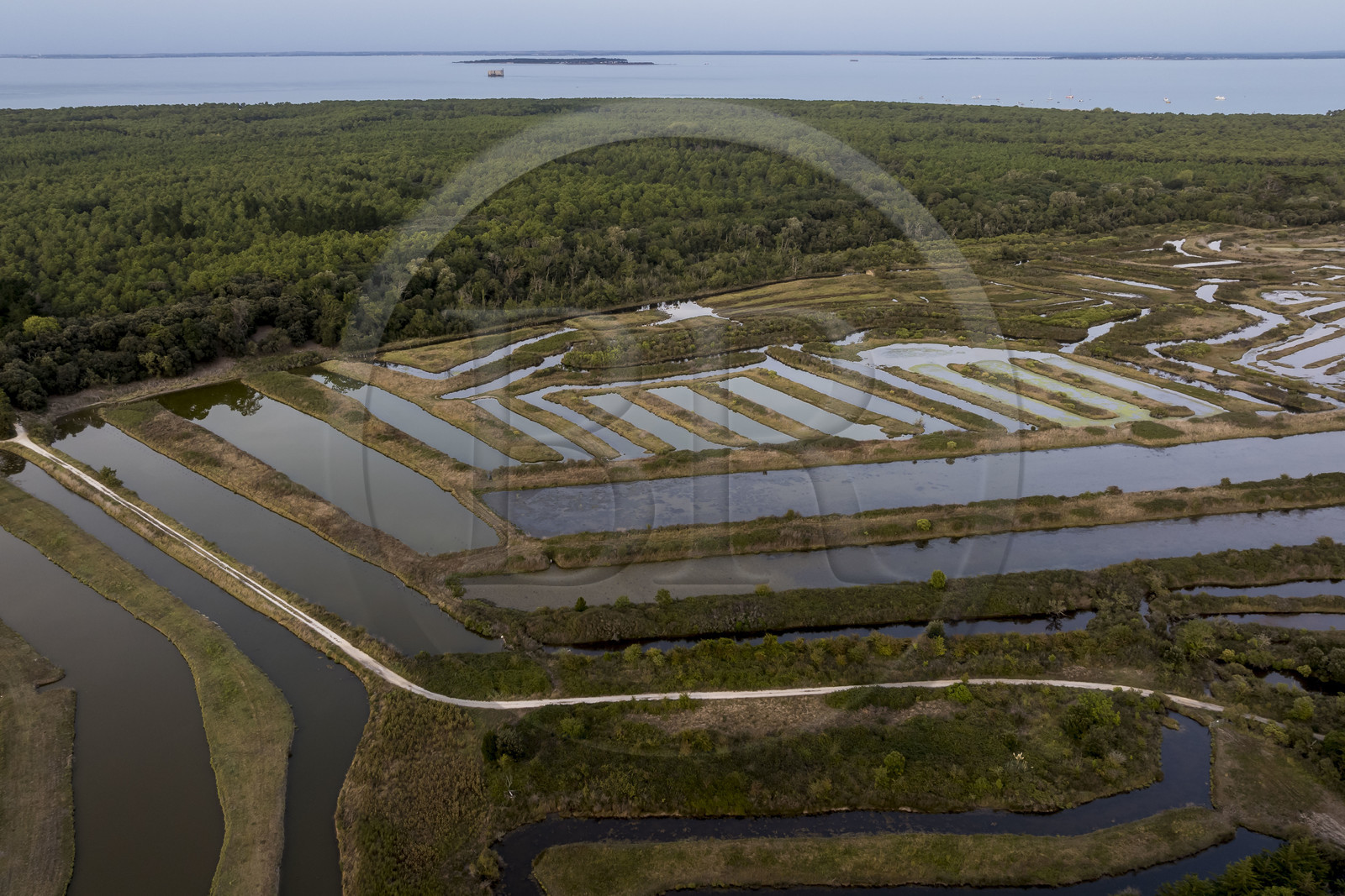 France, Charente-Maritime (17), Ile d'Oléron, Saint-Georges-d'Oléron, les anciens marais salants qui servent aujourd'hui de zone d'affinage des huitres, les claires, et d'élevage de crevettes (vue aérienne)