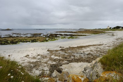 France, Morbihan (56), Presqu'île de Quiberon, la côte sauvage