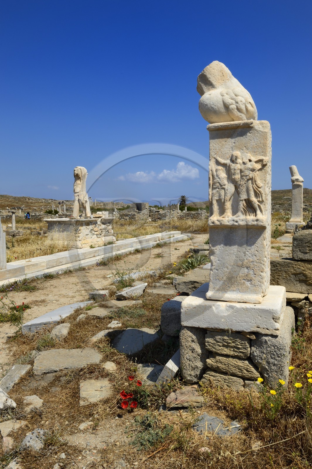 Grèce, île de Delos, classée Patrimoine Mondial de l'UNESCO, site archéologique de Délos, sanctuaire d'Apollon, la plus grande cité antique de la mer Egée, colonne avec phallus au Stoivadeion