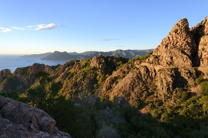 France, Corse du Sud, Golfe de Porto, listed as World Heritage by UNESCO, the Creeks of Piana (Calanches de Piana) with pink granite rocks and the D81 road between Porto and Cargese, the Capo Senino and the Scandola peninsula Nature Reserve in the background